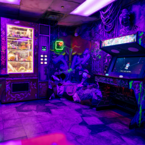 Meow Wolf The Real Unreal
