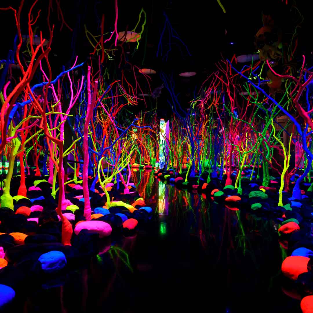 Photos Courtesy of Chris Werner and Elliott Lopes Photography