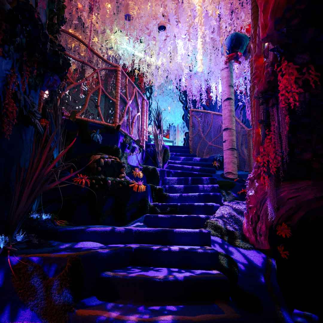 Photos Courtesy of Chris Werner and Elliott Lopes Photography