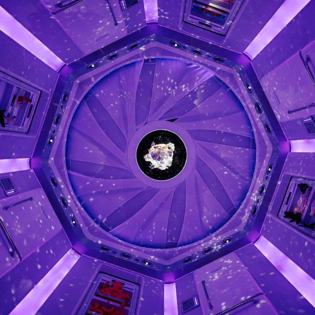 Photos Courtesy of Chris Werner and Elliott Lopes Photography